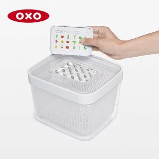 【美國OXO】蔬果長鮮盒活性碳補充包2入