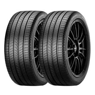 【PIRELLI 倍耐力】ROSSO 里程/效率 汽車輪胎 二入組 205/60/16(安托華)