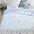 【Great Living 格蕾寢飾】La Belle 365天懶懶抗菌可水洗被/棉被180x200cm(多款任選)