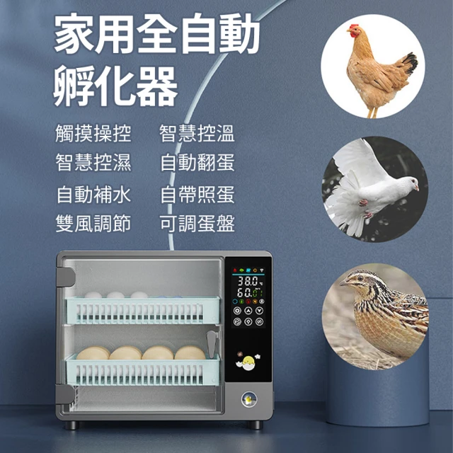 Blue Bay 倍力 寵恩素180g 2罐組(小動物/蜜袋