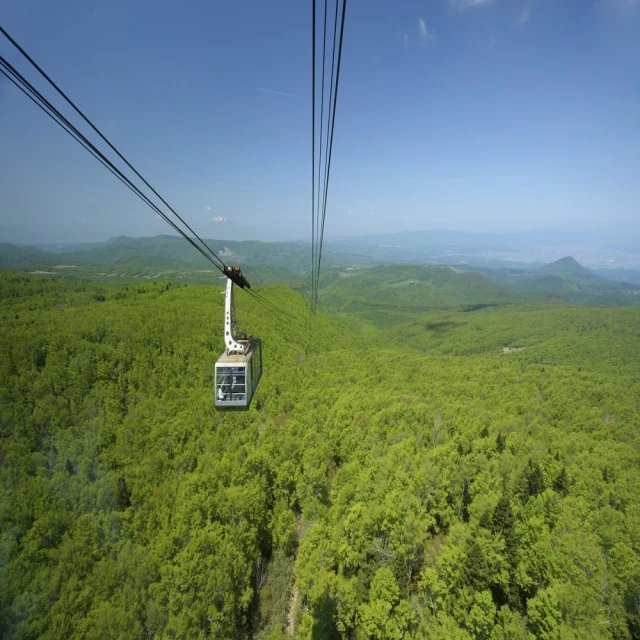 喜鴻假期 【不進人蔘保肝.藍調時光濟州5天】全程市區四星、海