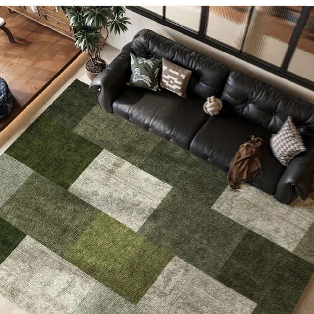 艾貝德盛雅專賣店 異形地毯 不規則極簡風地毯臥室地墊180c