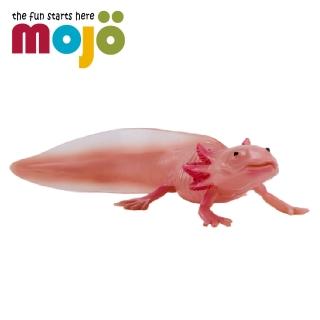 【Mojo Fun】動物模型-墨西哥鈍口螈