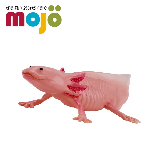 【Mojo Fun】動物模型-墨西哥鈍口螈