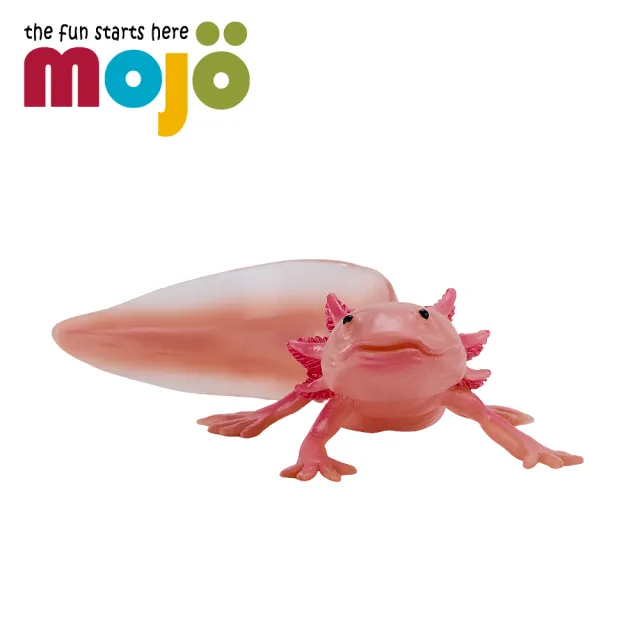 【Mojo Fun】動物模型-墨西哥鈍口螈(公仔/動物/模型/玩具)
