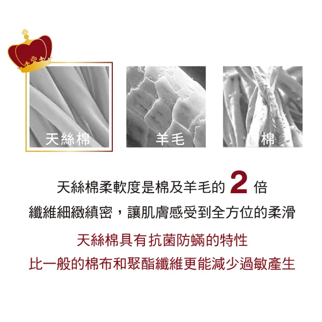 【IHouse】天絲防蹣抗菌愛麗絲彈簧床墊(雙人加大6尺)