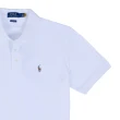 【RALPH LAUREN】POLO RL 經典版型彩色小馬刺繡100%棉 polo衫(polo RL 多色選擇)