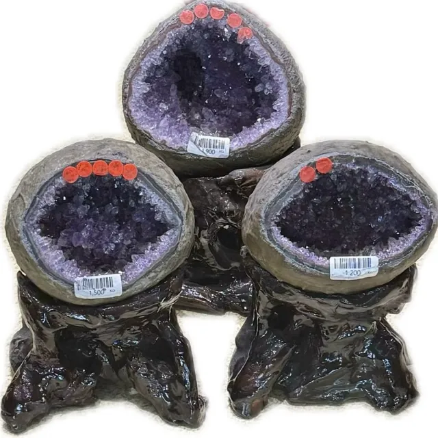 【菲鈮歐】開運招財天然烏拉圭紫晶洞 1-2kg 隨機出貨(1-2kg 隨機出貨)