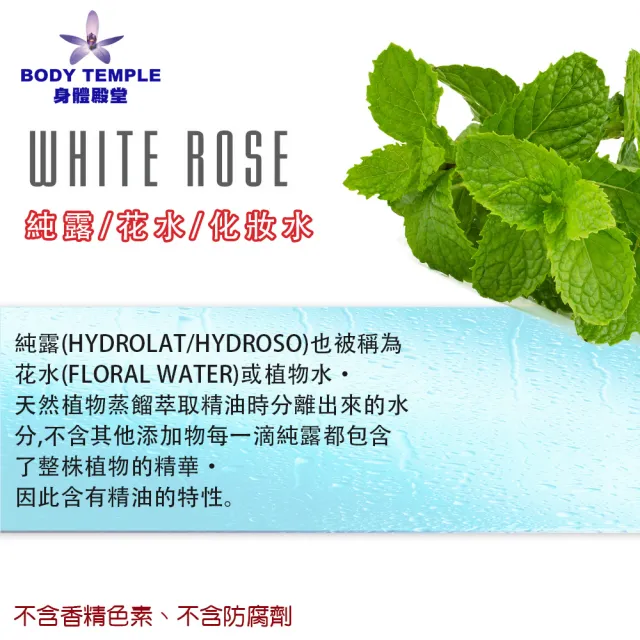 【BodyTemple 身體殿堂】薄荷精油純露(100ml)