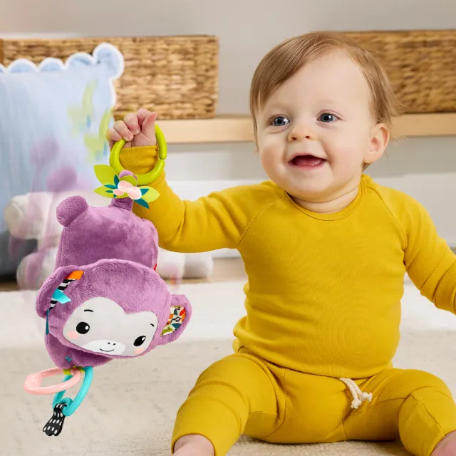 【Fisher price 費雪】歌唱感官紫色猴子(寶寶安撫/嬰兒玩具/彌月禮/新生兒)