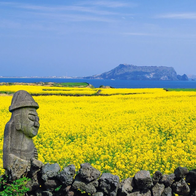 喜鴻假期 【不進人蔘保肝.藍調時光濟州5天】全程市區四星、海女村探訪、史努比庭園、羊駝牧場