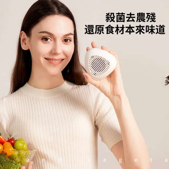 【Felsted 菲仕德】蔬果清洗機 蔬果凈化器(果蔬清洗 蔬果凈化機 超聲波洗菜機 去除農殘)