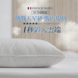 【HOYACASA】法國飯店羽絨枕/德國防天絲枕 任選2入組(30/70羽絨枕 /物理防抗菌)