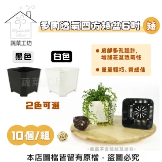 【蔬菜工坊】多肉透氣四方矮盆6吋-矮-  10個/組(黑色.白色可選)