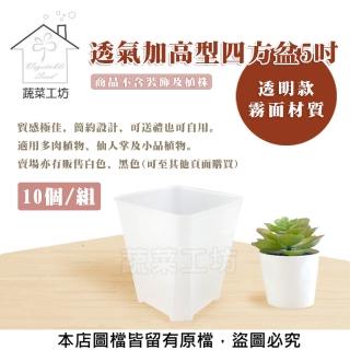 【蔬菜工坊】透氣加高型四方盆5吋 10個/組(透明)