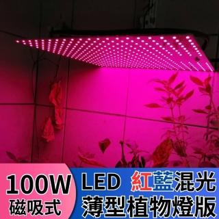 【JIUNPEY 君沛】LED100W薄型植物燈板 100瓦磁吸式植物燈 紅藍混光 專業型光譜(植物燈)