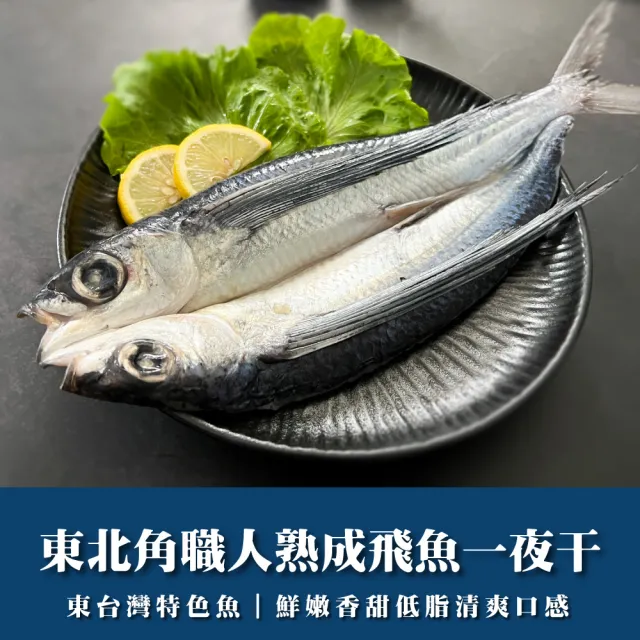 季節限定蘭嶼美食野生飛魚一夜干