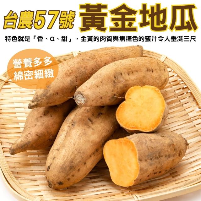 【WANG 蔬果】台農57號黃金地瓜10斤x1箱(農民直配)