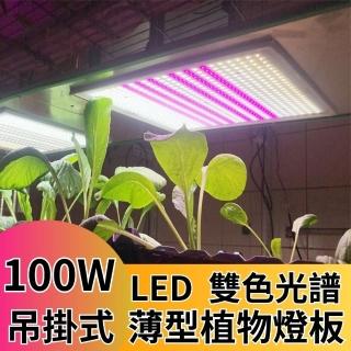 【JIUNPEY 君沛】君沛植物燈 LED100W薄型植物燈板 100瓦吊掛式 雙色光譜設計有助於提高栽培效率(植物燈)