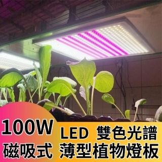 【JIUNPEY 君沛】君沛植物燈 LED100W薄型植物燈板 100瓦磁吸式 雙色光譜設計有助於提高栽培效率(植物燈)
