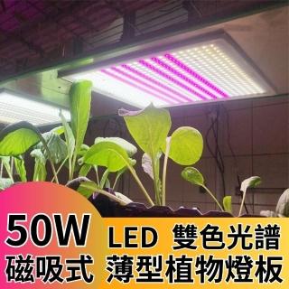 【JIUNPEY 君沛】LED50W薄型植物燈板 50瓦磁吸式 雙色光譜設計有助於提高栽培效率和作物質量(植物燈)