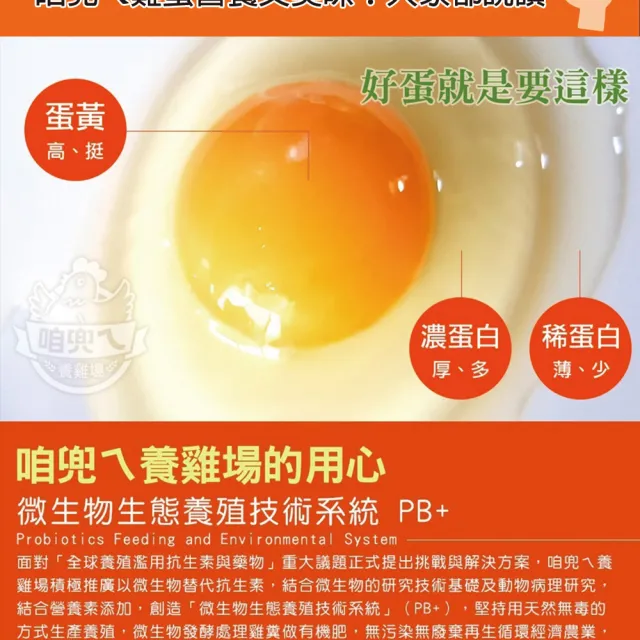 【咱兜ㄟ養雞場】草本DHA機能蛋/紅殼/40入宅配禮盒組(機能蛋專家/平飼/永續農業)