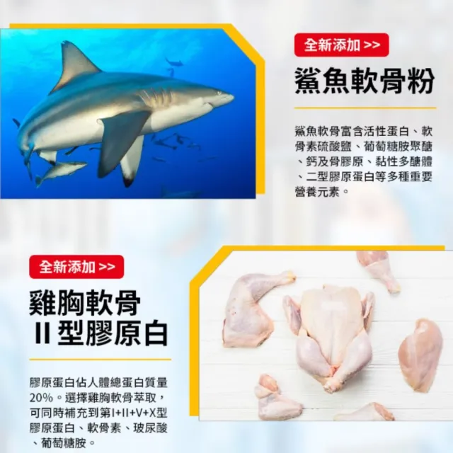 【保濟堂】固樂沙敏 CC2加強錠 60粒/盒 買一送一(共120顆)