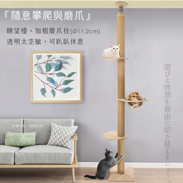 【貓本屋】加粗麻繩柱11cm太空艙實木通天柱貓跳台(最高277cm)