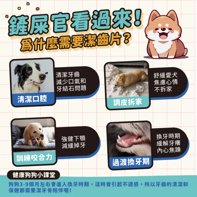 【KAZI 卡滋】清新潔齒嚼片1000g(100%台灣製造 潔牙骨 潔牙棒 寵物潔牙骨)