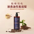 【SAHOLEA 森歐黎漾】質進化 咖啡因健髮系列洗髮精豐盈/控油/涼感(480ml任選一入)