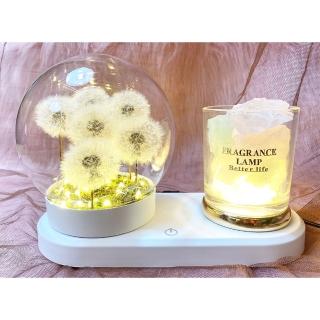 【OSTARA FLORIST 奧斯塔拉花藝】滿滿小巧蒲公英圓球玻璃罩燈飾 水晶石擴香系列(永生花、居家生活、花禮)