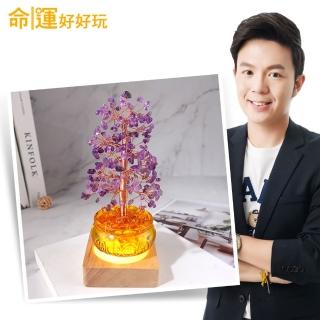 【命運好好玩】湯鎮瑋-紫晶招貴搖錢樹燈