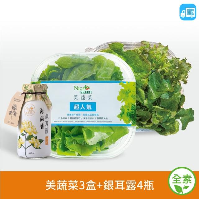 【NICE GREEn 美蔬菜】美蔬菜3盒+海茴香銀耳露4瓶送3包沙拉醬(生菜  蔬菜 海茴香 銀耳露 膠原蛋白)