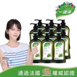 【一滴淨】蘆薈多酚洗碗精1000g 箱購12件組(柑橘精油/檸檬精油洗碗精)