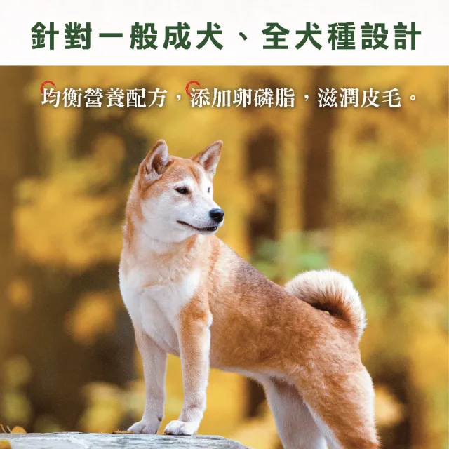 【Donna 多納】超值健康犬均衡配方15kgx2入組狗飼料(牛肉/雞肉口味/犬乾糧/狗園捐贈/囤貨推薦/官方直營)