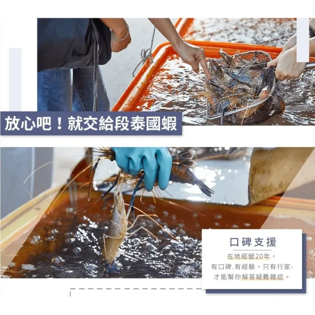 【段泰國蝦】屏東鮮凍泰國蝦 精選A級老饕大蝦600gx2包(每包約18-20隻 公母混合)