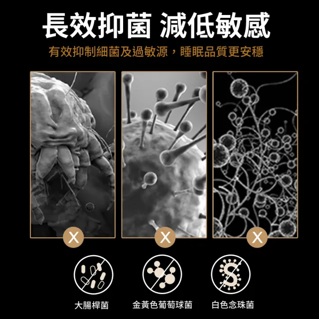 【LooCa】石墨烯能量床墊布套MIT-拉鍊式-加大6尺(3-6cm/8-12cm-速)