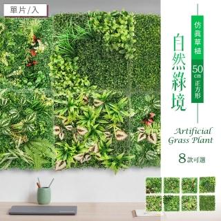 【dayneeds 日需百備】模擬草植-自然綠境 50cm正方形 多款可選(植生牆/仿真植物牆/植草磚/植物牆)