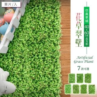 【dayneeds 日需百備】模擬草植-花草翠壁 60X40cm長方形 7款可選(植生牆/仿真植物牆/植草磚/植物牆)