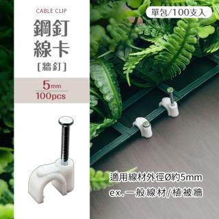 【dayneeds 日需百備】園藝束帶 100條/包(紮線帶/綁線帶/塑膠束帶/尼龍束帶)