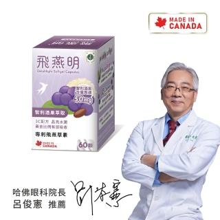 【珠驤保健】飛燕明軟膠囊(60顆/盒-專利智利酒果萃取、專利金盞草萃取 明汪養分)