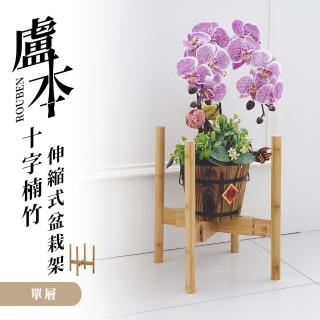 【dayneeds 日需百備】盧本十字楠竹伸縮式盆栽架 單層(花盆架/木質花盆架/落地四腳花架)