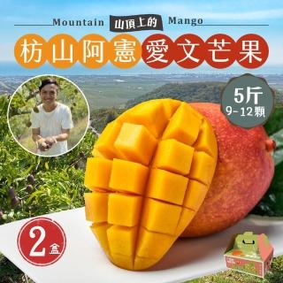 【初品果】枋山阿憲愛文芒果禮盒5斤9-12顆x2盒(中小果 山頂上的愛文芒果 禮盒)