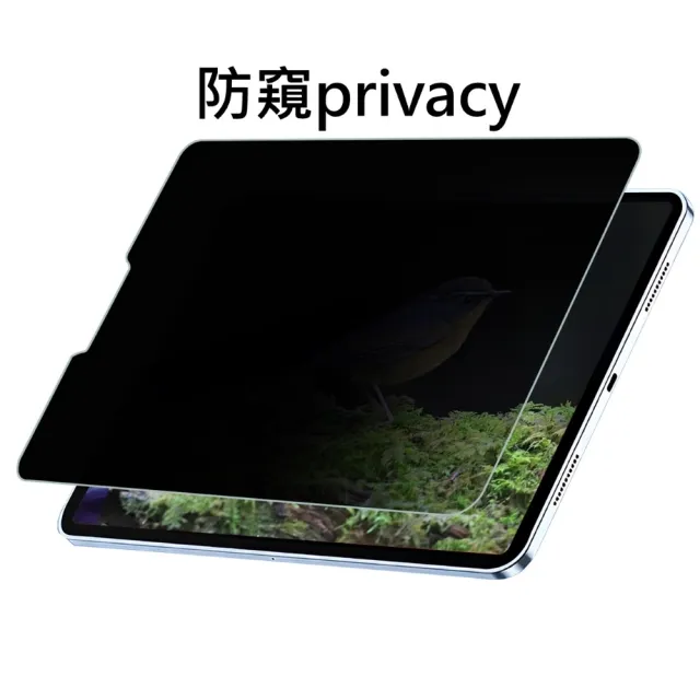 【SOBiGO】iPad 2024 9H鋼化玻璃 AIR/PRO13吋(滿版2.5D 防偷窺)