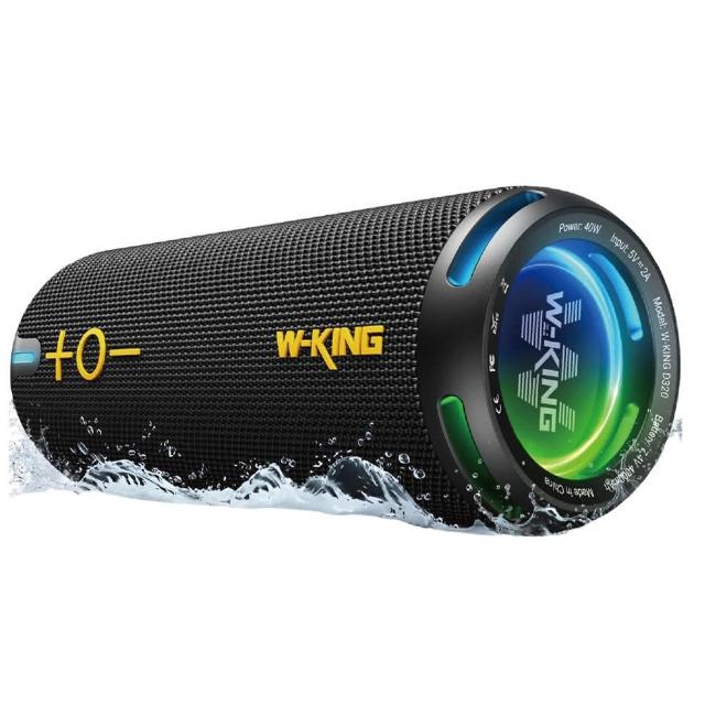W-KING D320