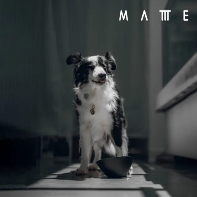 【MATTTE】RoLock 寵物不倒大口徑飼料斜食碗 250ml 不沾黑色(吸地耐撞/內外碗分離/不沾塗層)