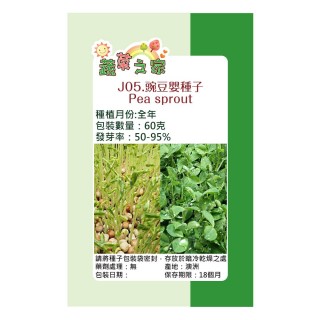 【蔬菜工坊】J05.豌豆嬰種子.大葉種(芽菜種子)