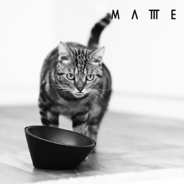 【MATTTE】RoLock 寵物不倒大口徑飼料斜食碗+水碗組 不沾黑色(寵物碗/貓碗/狗碗/飼料碗)