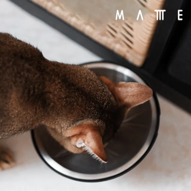 【MATTTE】RoLock 寵物不倒大口徑飼料斜食碗 250ml 不鏽鋼原色(吸地耐撞/內外碗分離/304不鏽鋼)