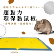 【神捕】超黏力環保黏鼠板-玉米香 大